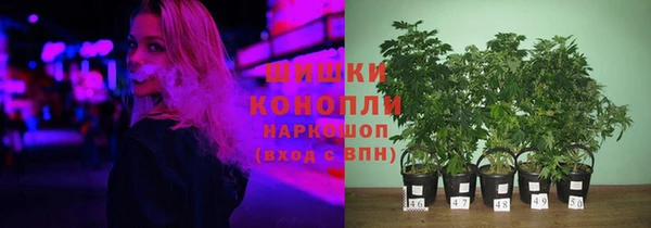 гидра Балахна