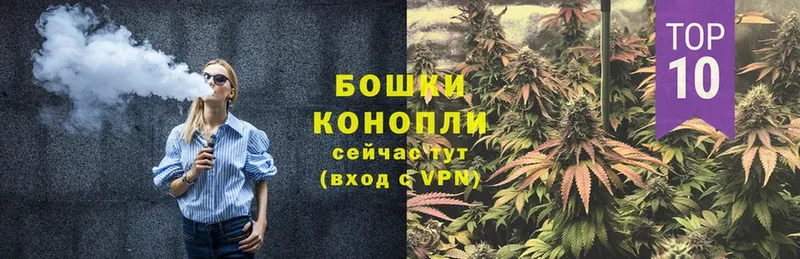 Бошки Шишки OG Kush  Дудинка 